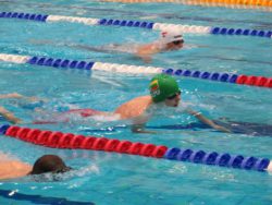 10563060_454210461403257_3613222638634234698_n
